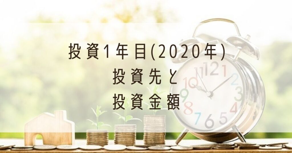 投資1年目(2020年)投資先と投資金額